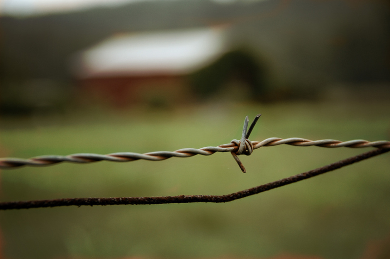 Illustration for article titled Barbed Wire's Dark, Deadly History